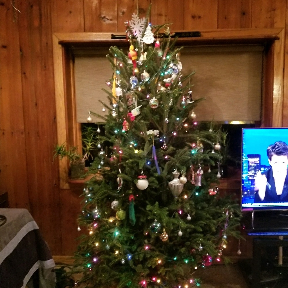 Meet your Posher, Viv